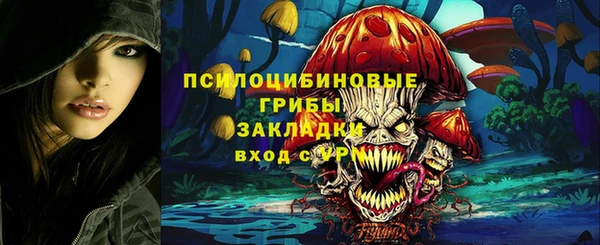 экстази Пересвет