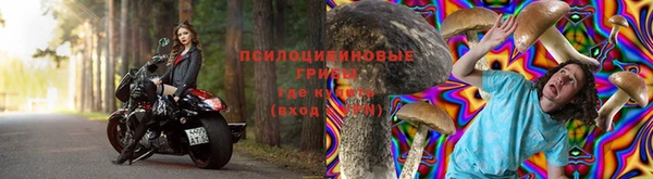 экстази Пересвет