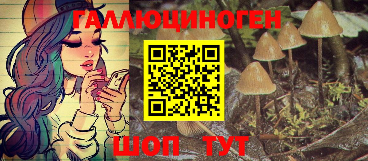 Отрадный  Галлюциногенные грибы MAGIC MUSHROOMS  Вход с VPN 