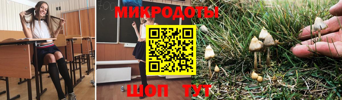 Псилоцибиновые грибы Psilocybe Отрадный